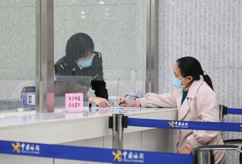 攜帶寵物出國的完整指南 手續(xù)與代理代辦